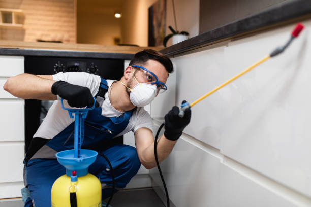 Professional Pest Control in Druid Hills, GA