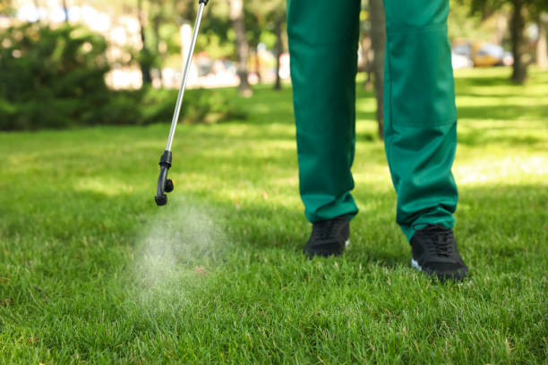 Best Residential Pest Control  in Druid Hills, GA