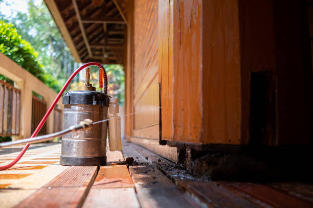 Best Affordable Pest Control Services  in Druid Hills, GA